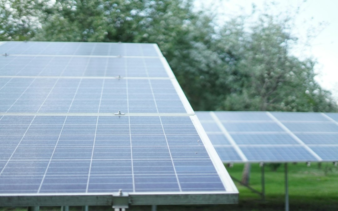 EU reaches new electricity transition milestone