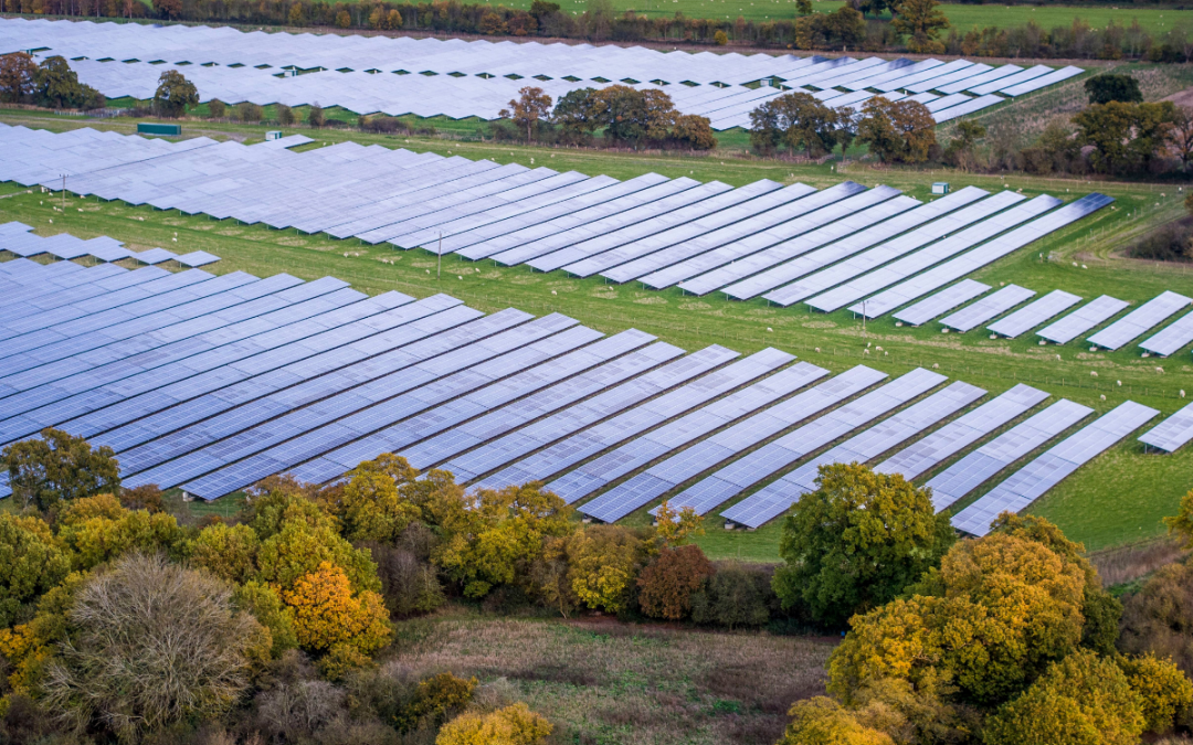 Two New PV Tenders Announced by France for 1.2 GW