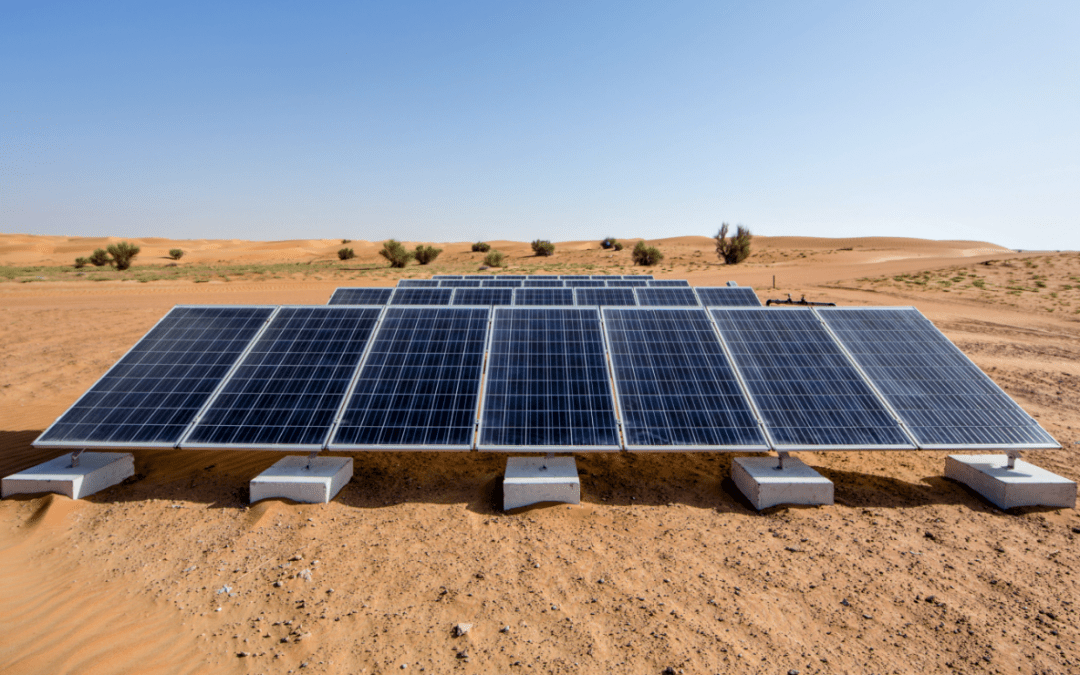 Trinasolar Advances Middle East Solar Transition with 70MW Project