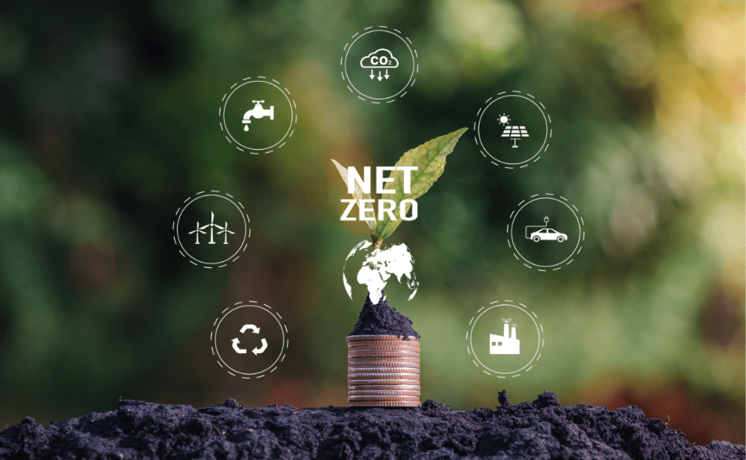 IEA report: countries need collaboration for climate goals