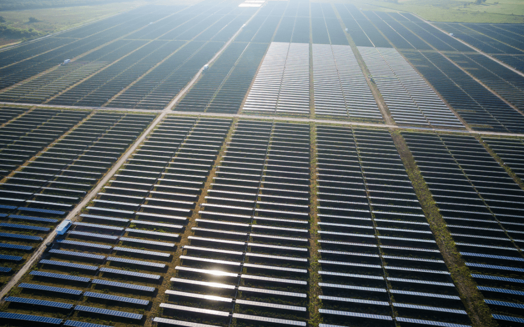 FREYR acquires Trina Solar’s Texas solar site