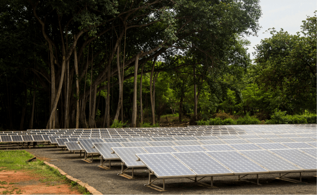 Enfinity Global secures 2 GW for Indian solar and wind projects