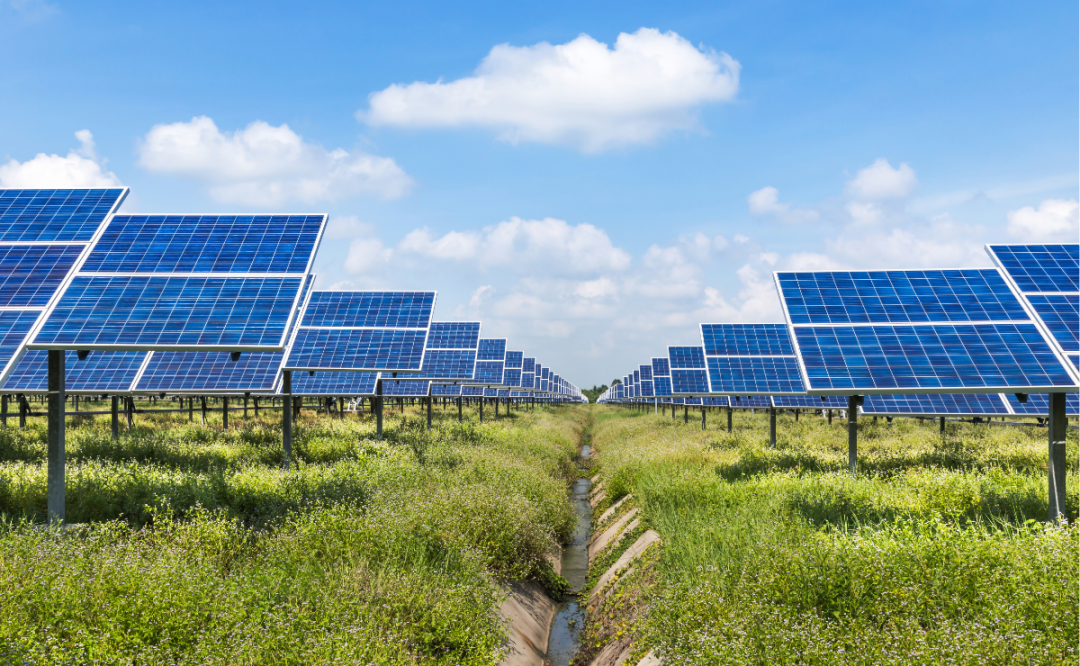 Solar Energy UK: Solar is reinforcing UK farms