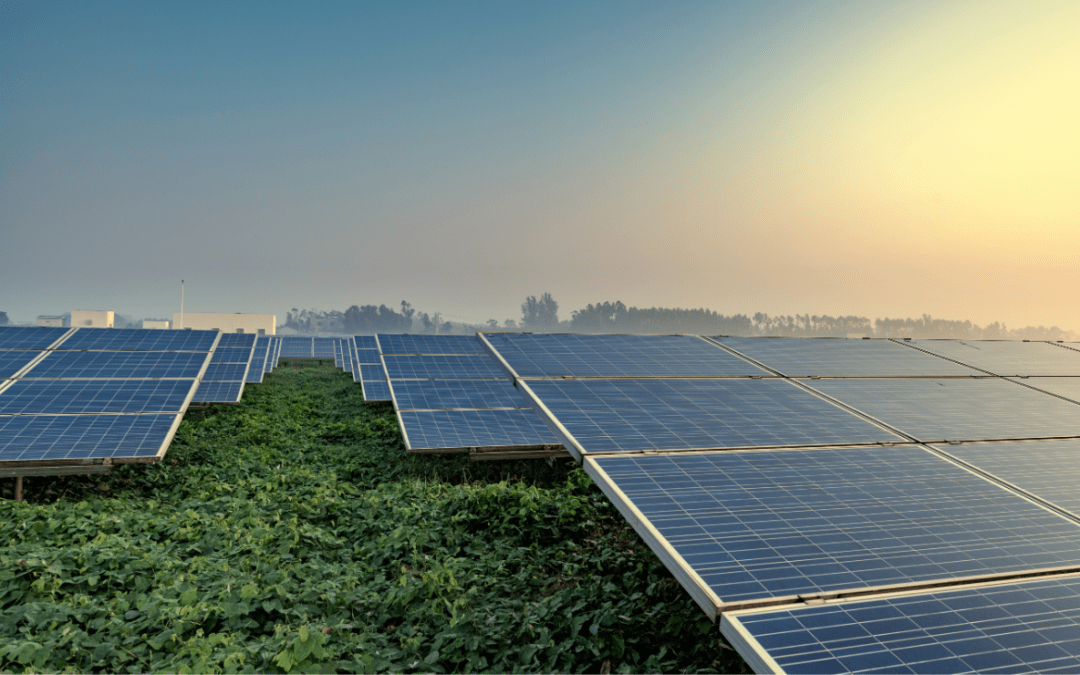 Enfinity Global lands €165M to develop 147MW of solar power in Italy