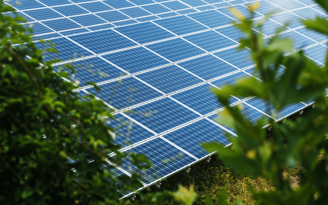 Energy minister commits to expanding rooftop solar nationwide