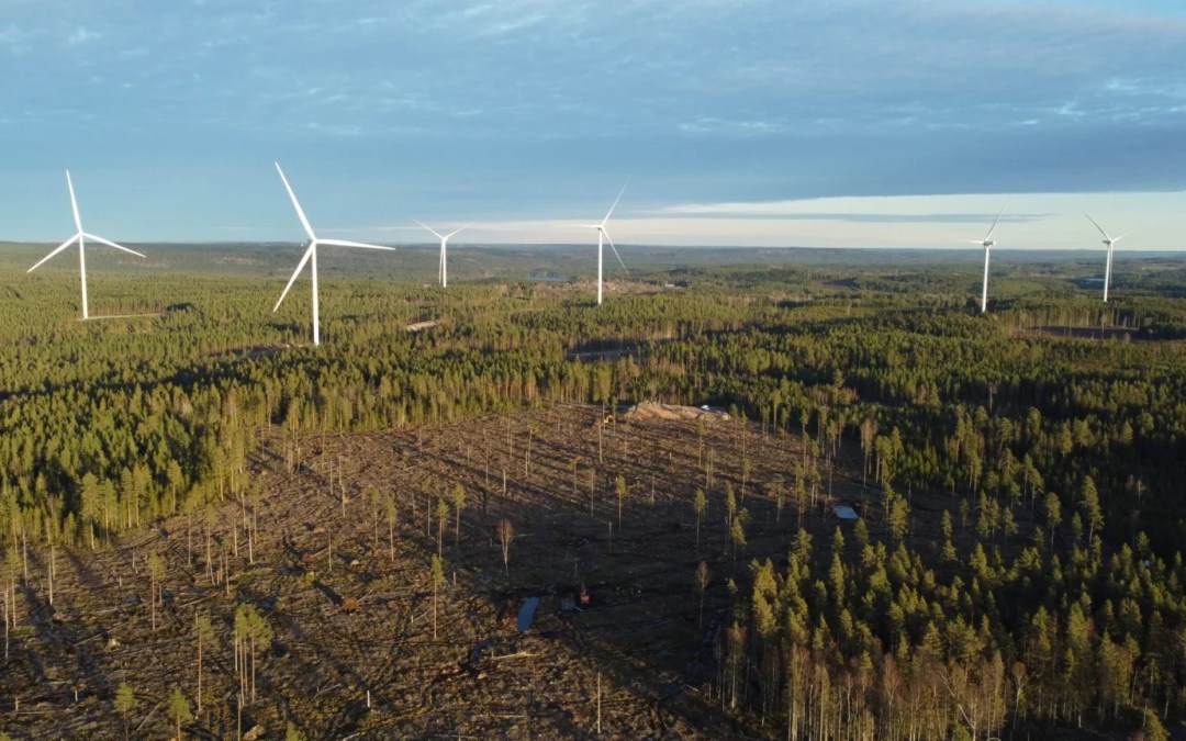 A wind farm in Sweden