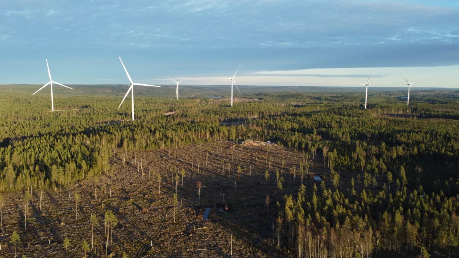 A wind farm in Sweden