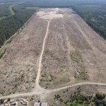 On this former military range, ABO Energy is currently building our Gubin solar park.