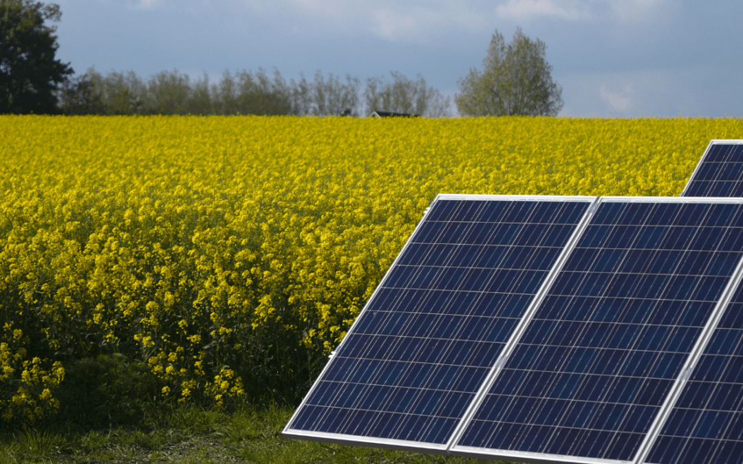 Zenith Energy expands Italian solar portfolio with agrivoltaic project