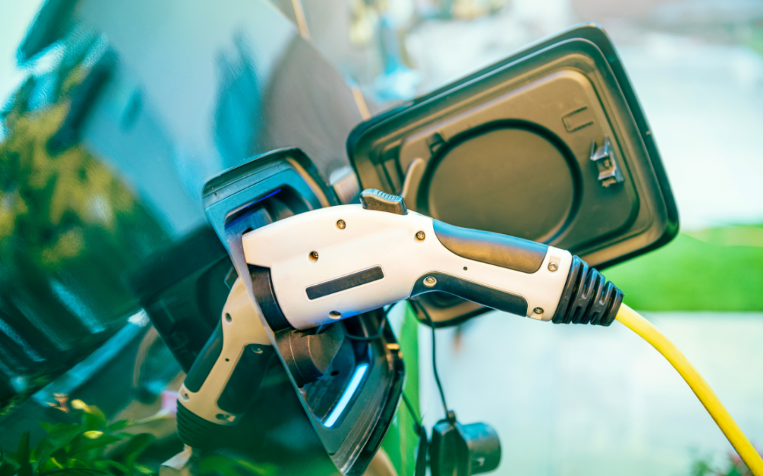 Electric car sales rose in July despite wider market decline