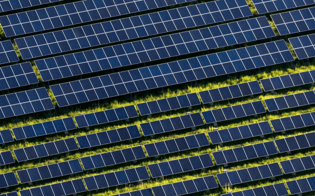 EBRD backs solar power in earthquake-hit Türkiye