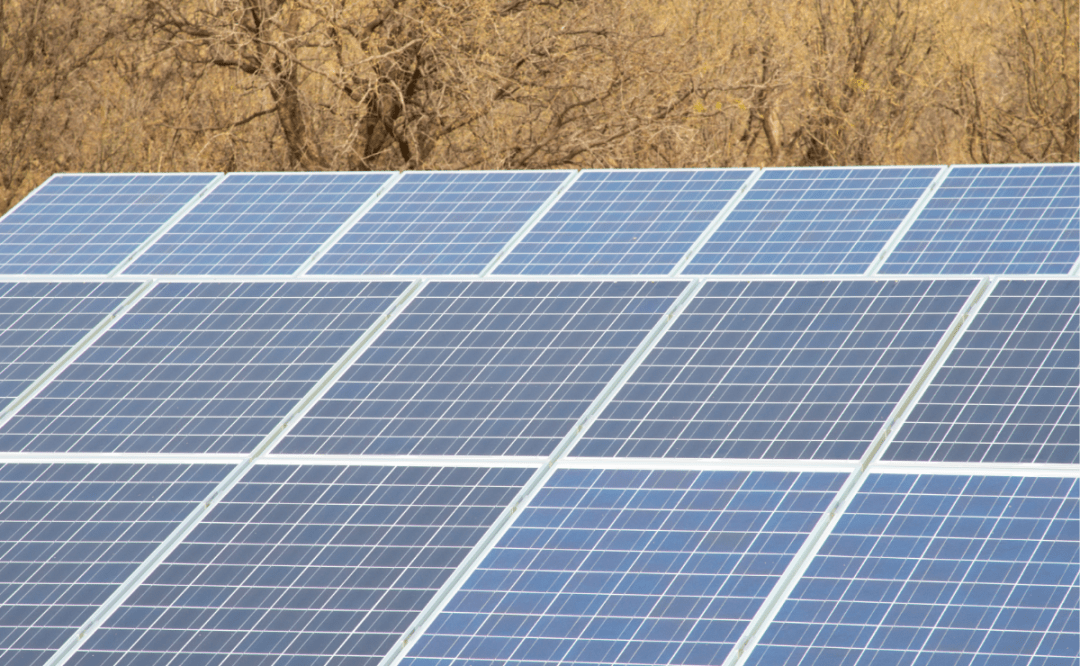Report: Solar set to dominate US capacity growth in 2025
