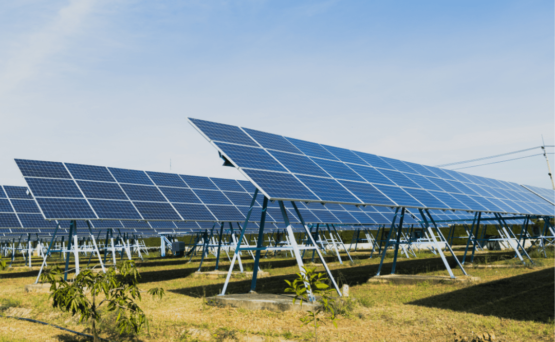 IEA: Electricity demand sets solar to surge in MENA