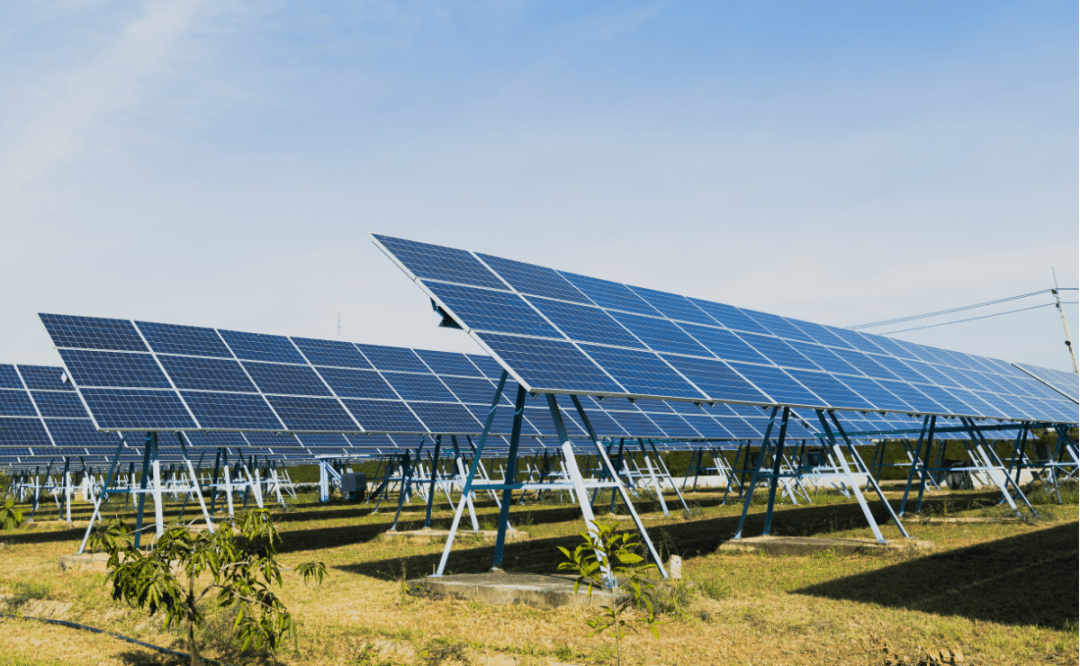 US Government cancels Nevada solar project