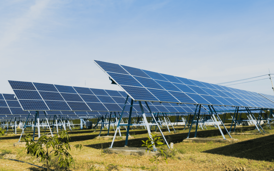 US Government cancels Nevada solar project