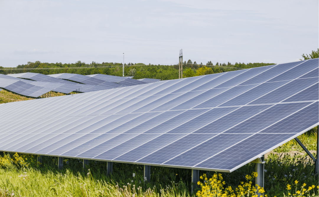 Over 20 US states sue over cancellation of $7bn solar programme