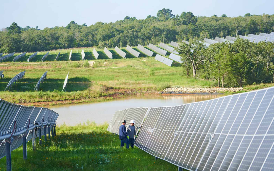 RWE commissions solar project in Texas, bolstering local industry