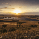 A solar plant under sunset