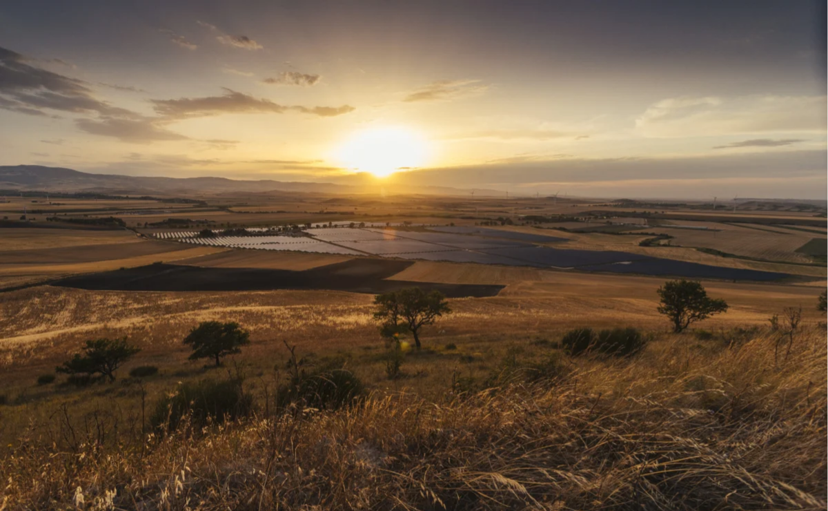 A solar plant under sunset