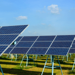 Solar panels in a field