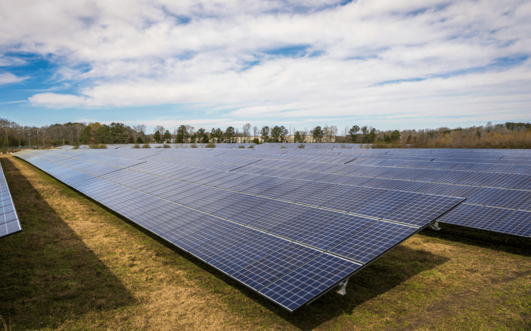 Solar panels in a field