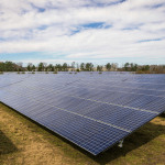 Solar panels in a field