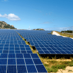 A solar farm in summer.