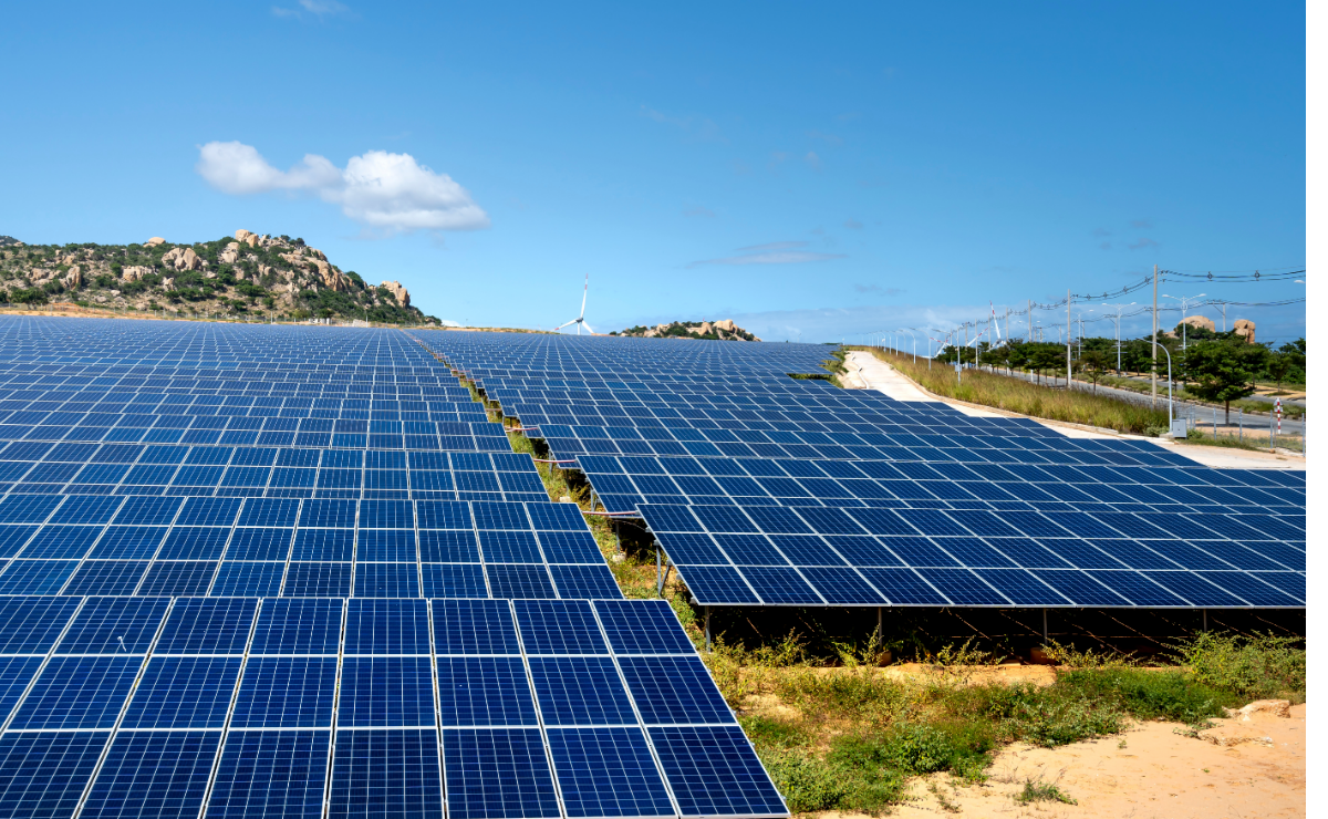 A solar farm in summer.