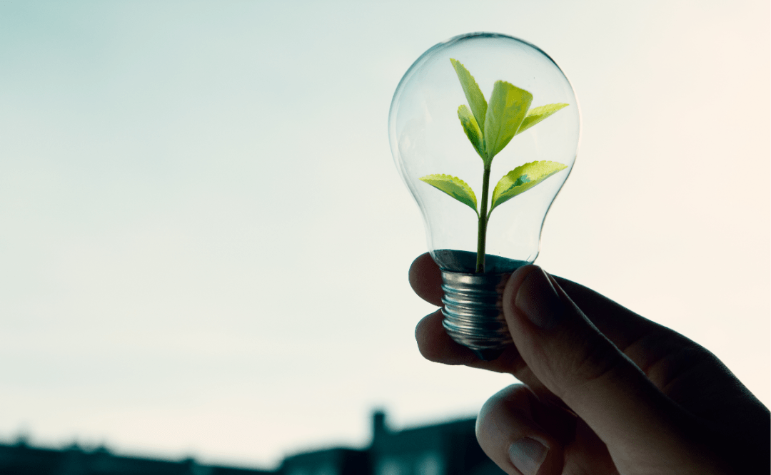 Solar and wind led Germany’s electricity generation in 2025